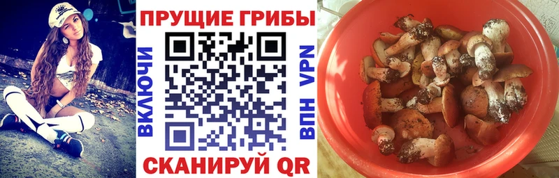 Псилоцибиновые грибы мухоморы hydra рабочий сайт Галич
